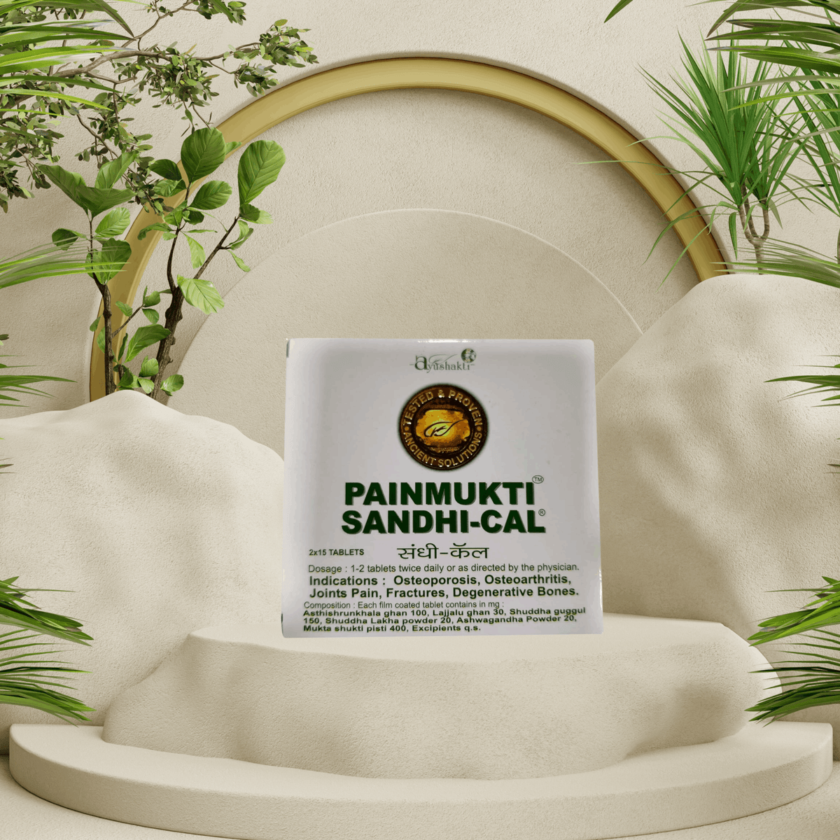 Ayushakti PainMukti Sandhi - cal 30 Tablets - Ayurvedic Nature Care